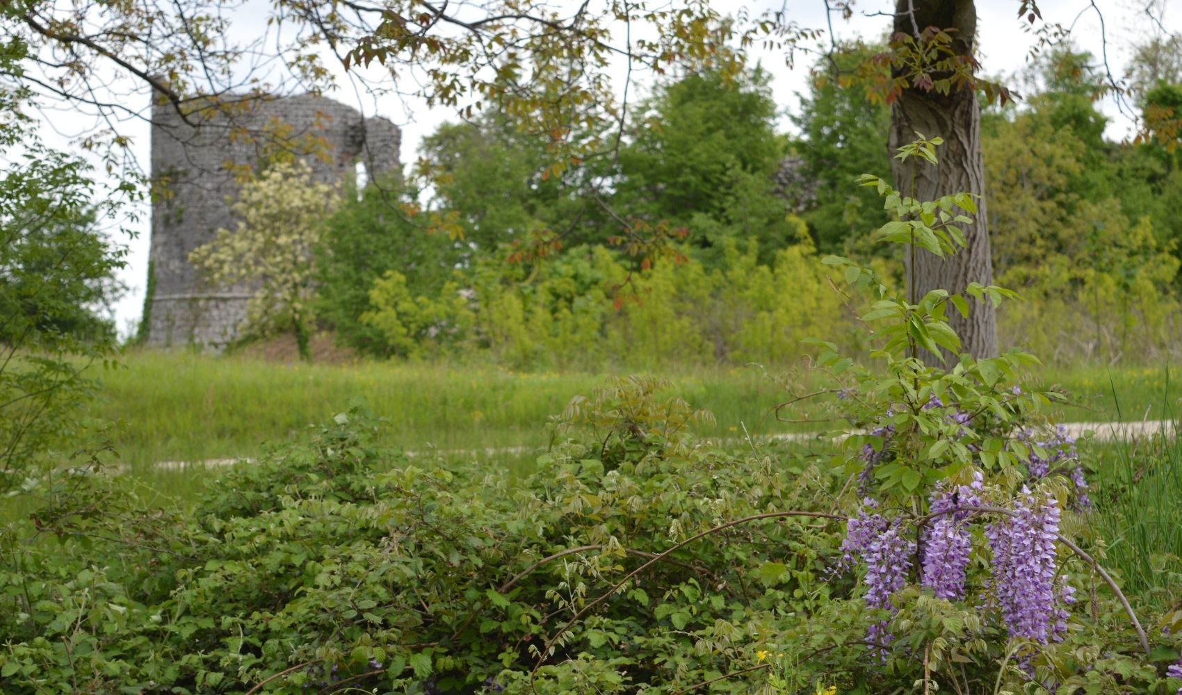 Camminando_Castello_di_Cordignano