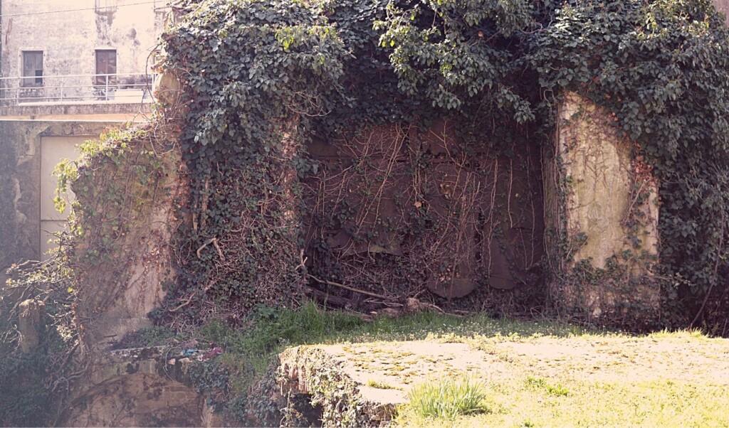 Camminando_Castelvecchio_di_Mestre Camminando_Castelvecchio_di_Mestre