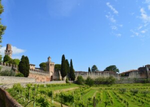 Camminando_Castello_di_San_Salvatore