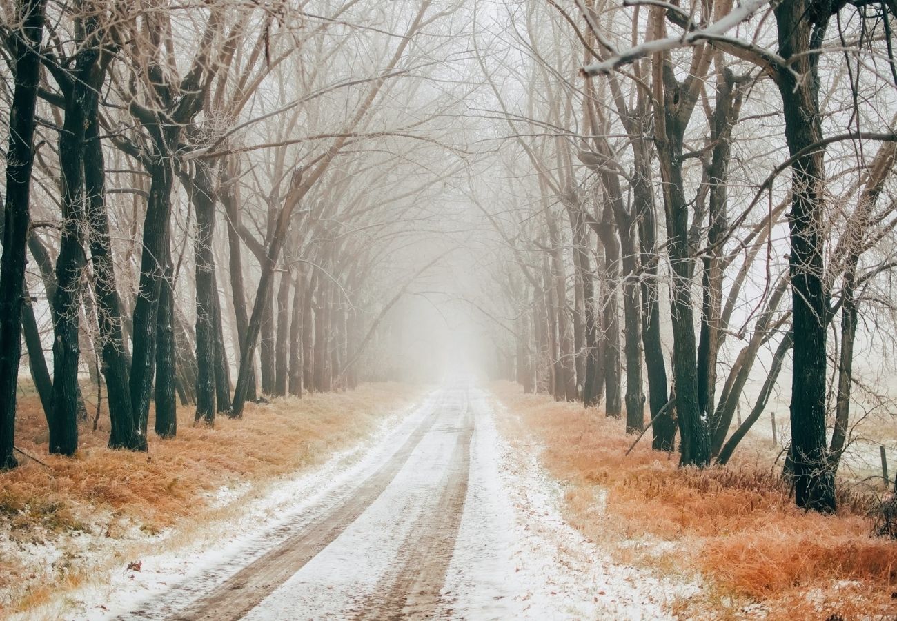 Camminando_Escursione_Gallio Camminando_Escursione_Gallio