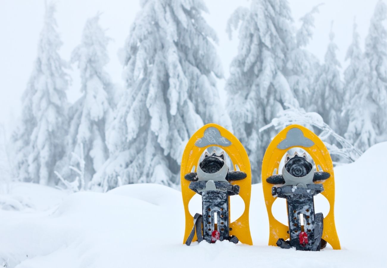 Camminando_Escursioni_Ciaspole