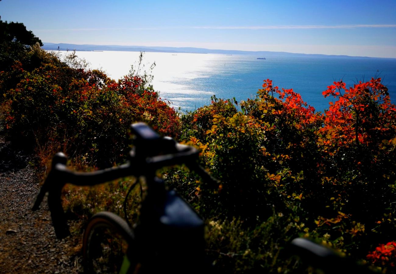 Camminando_Escursioni_Gt_del_Carso Camminando_Escursioni_Gt_del_Carso